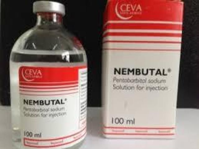 Suicide with nembutal is the best without pain.